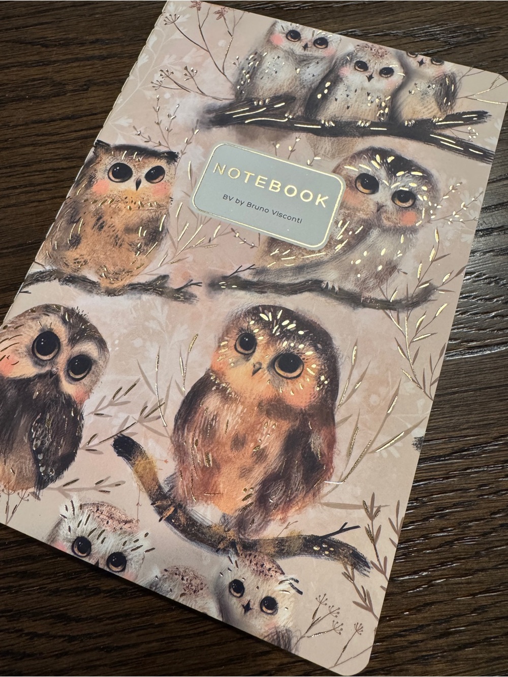 Bruno Visconti Soft Touch Owlets Baby Owls Notebook Journal A5 NEW